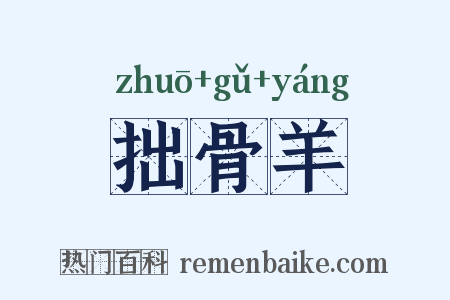 拙骨羊是什么意思的图片